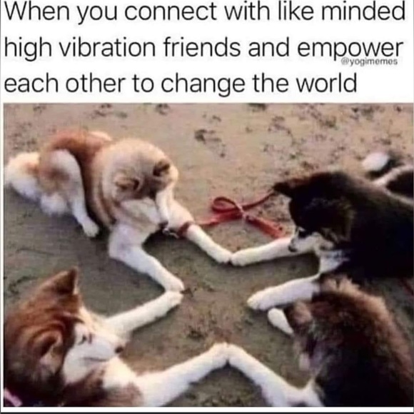 💫 - Picture 12 of 16